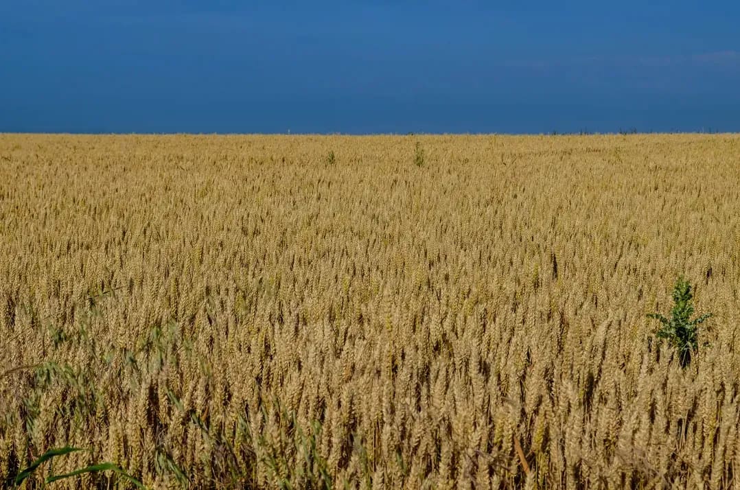 Preparing Fields for the Spring Drill