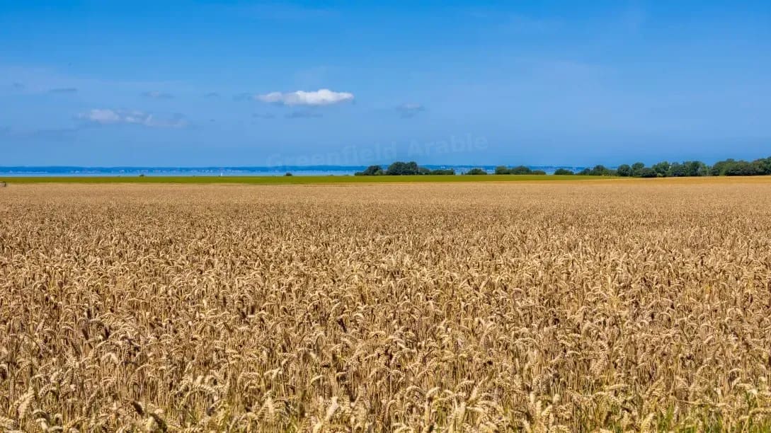 A Quiet Reminder on Grain Store Checks