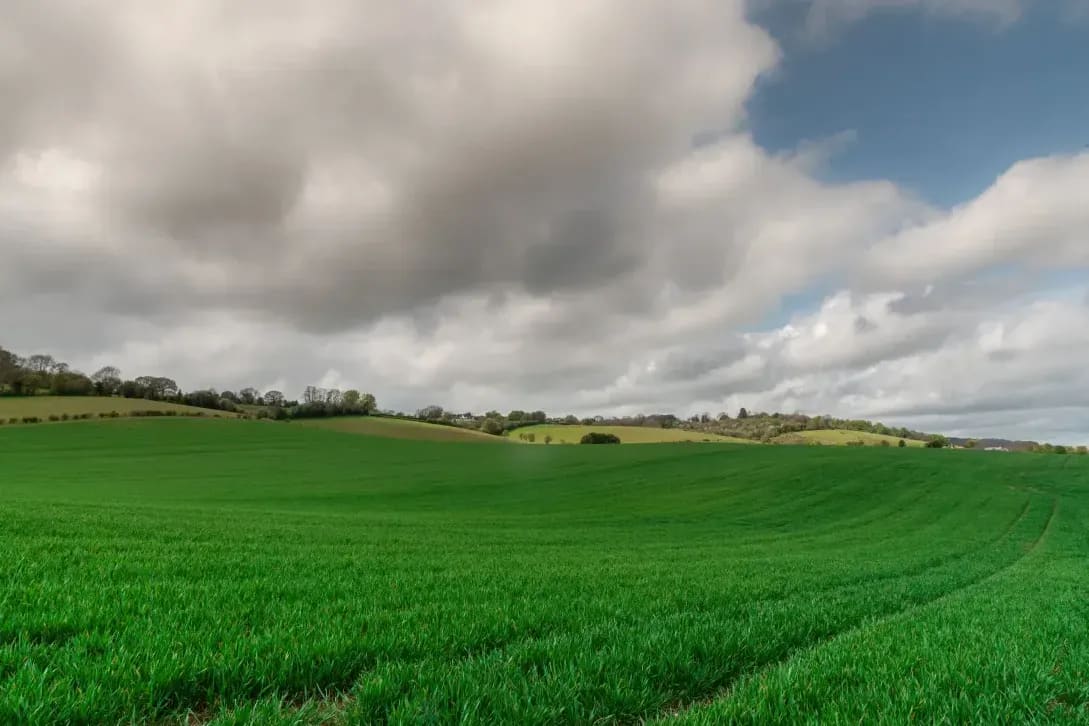 Greenfield Arable 10
