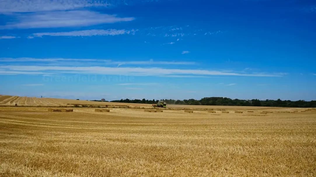 Greenfield Arable 12