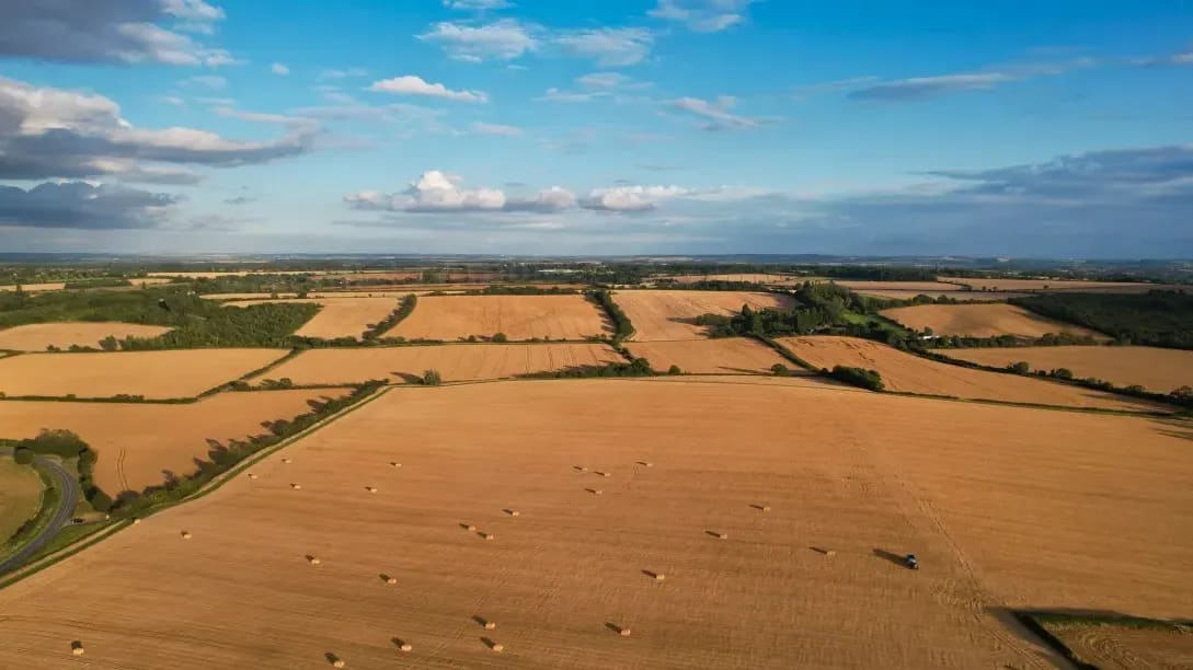 Greenfield Arable 13