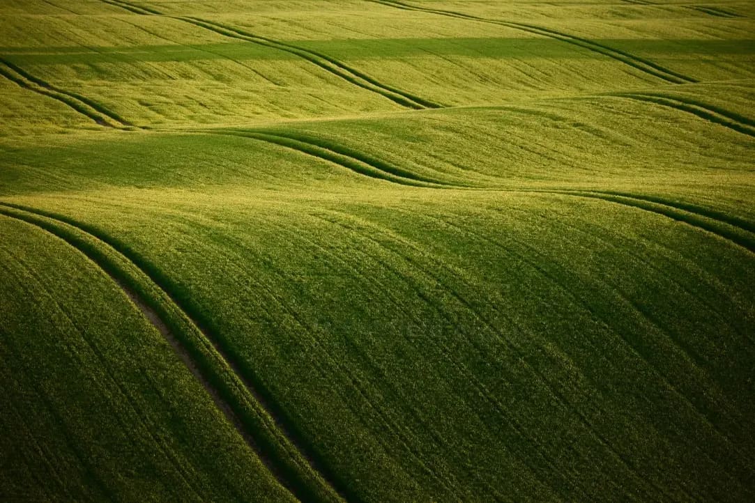 Greenfield Arable 14