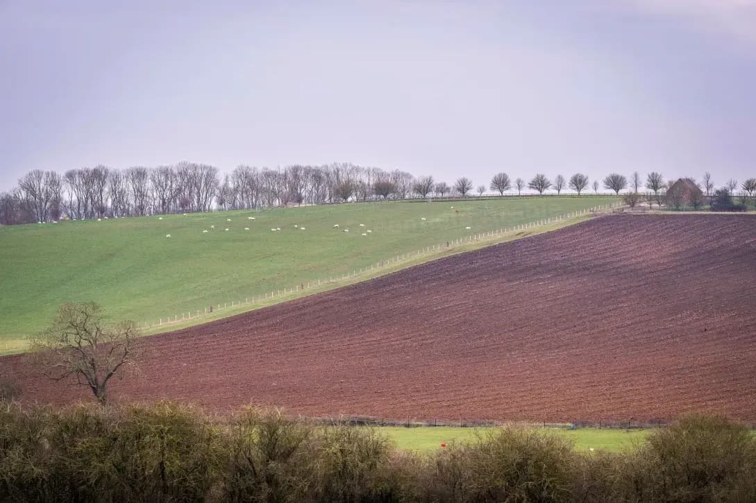 Greenfield Arable 6