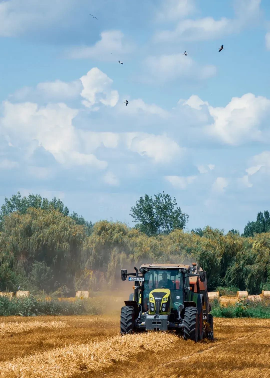 Greenfield Arable 8