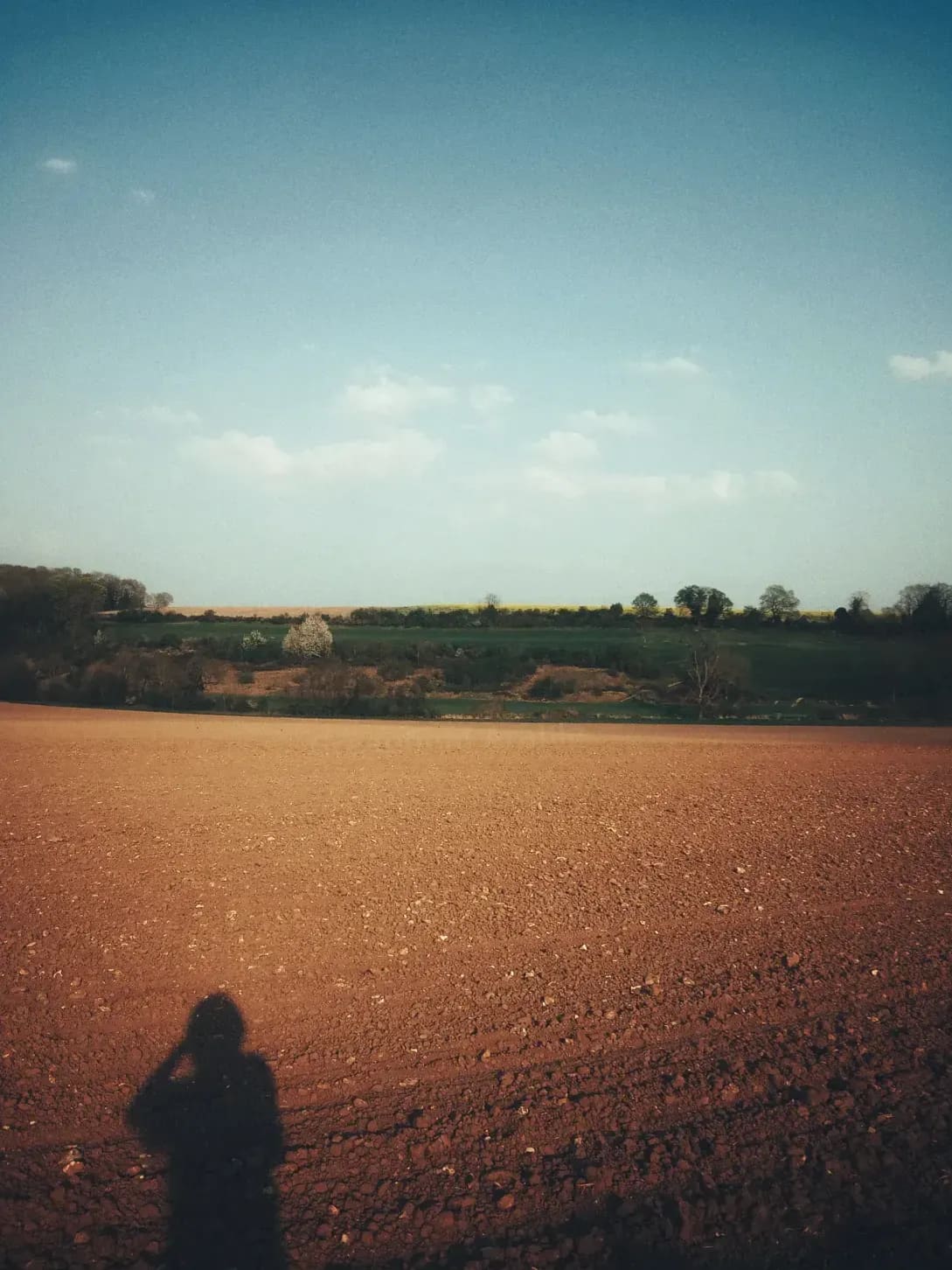 Greenfield Arable 9